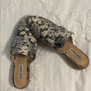Steve Madden Snake Slip Ons